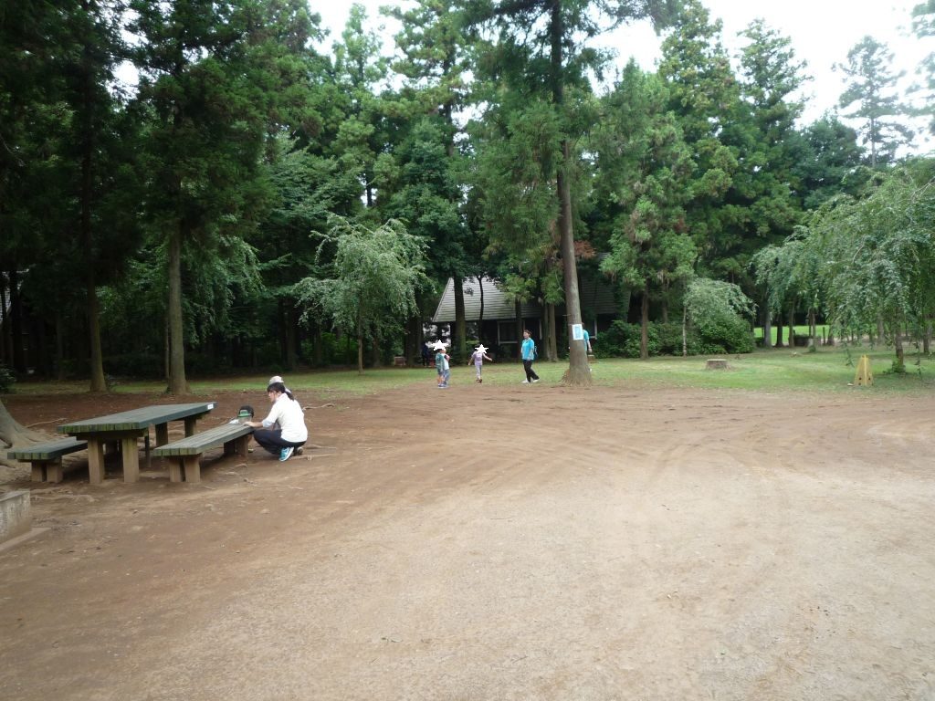 公園探索